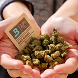 Boveda Size 4 (1/2oz) 15grams 62% - Tienda de Humo Mx