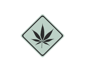 Comparativa Facil de Cannabinoides