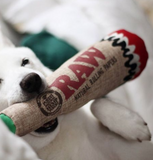 RAW Hemp Dog Toy Squeaky | Cono Juguete para Mascotas