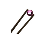 Bear Quartz | Terp Pearls 6mm 2ct