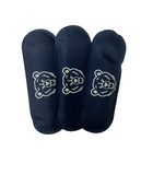 Bear Quartz | Ice Pack