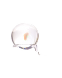 Bear Quartz | Opal Marble