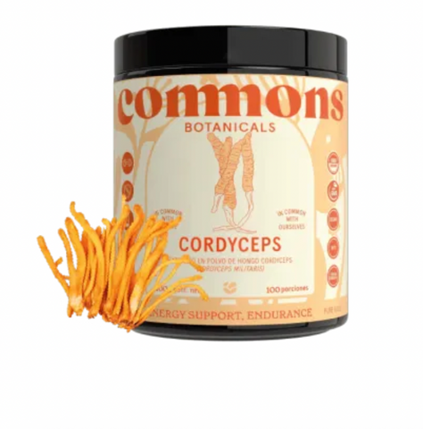 Commons | Cordyceps Extracto