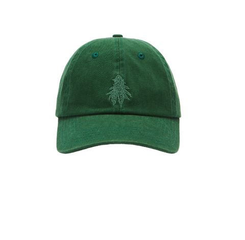 PAX | Flowerful Dad Hat Gorra