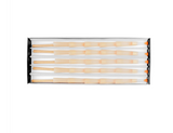 GRAV | Short Kings Filtro Cuarzo Conos 50ct