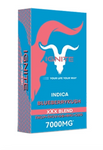 IGNITE | XXX Blend 7000MG Desechable