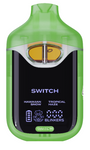 Boutiq | Switch V4 2G Disposable