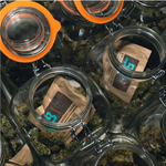 Boveda control Humedad - Tienda de Humo Mx