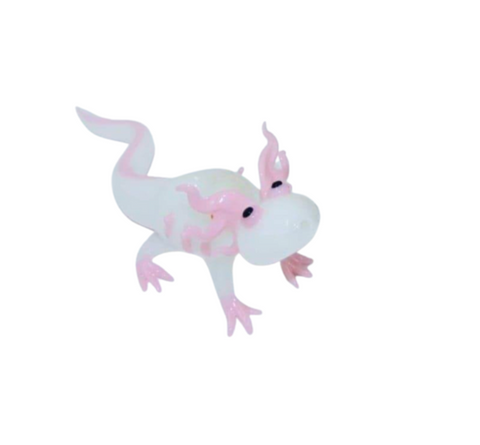 Pipa Axolotl